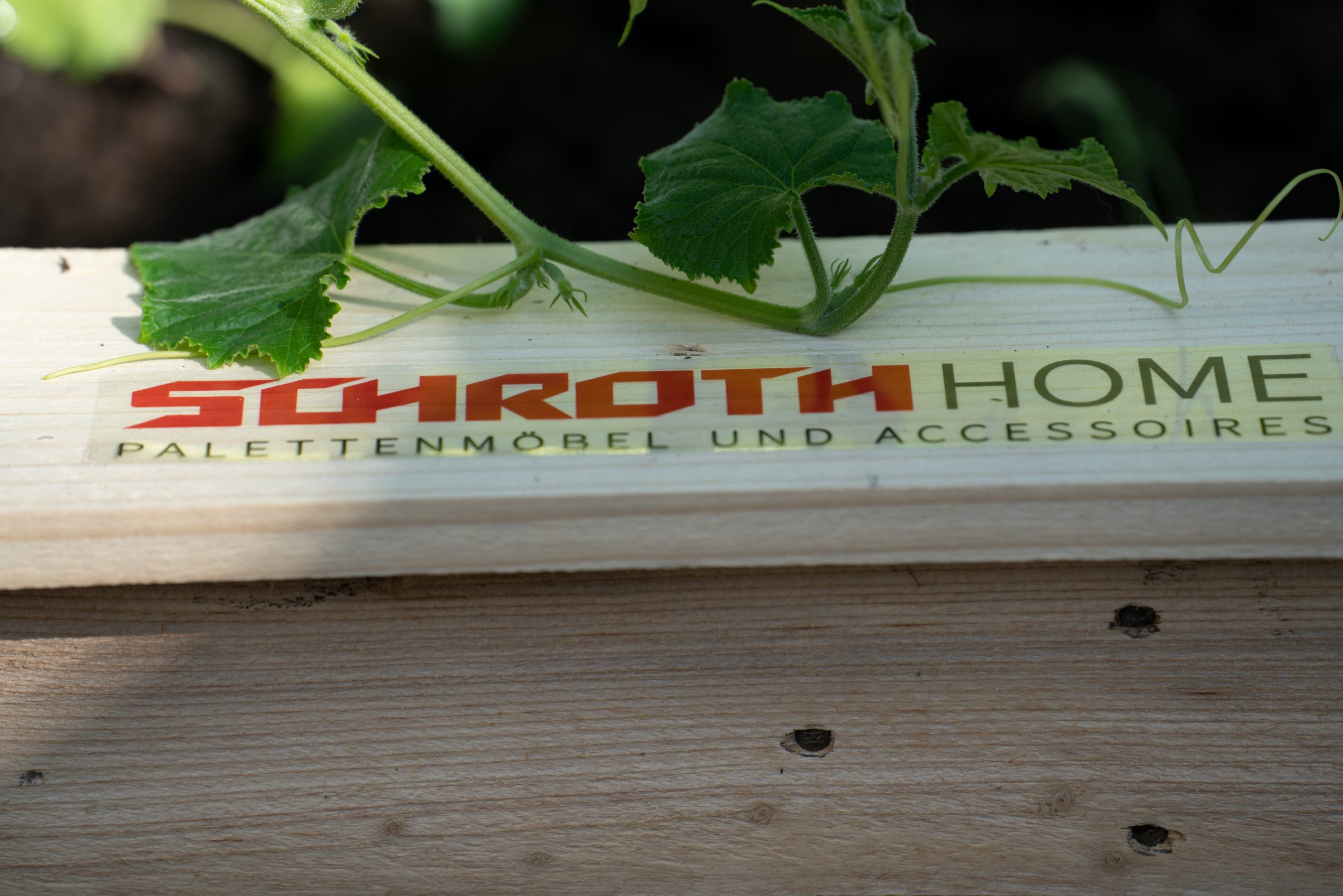 Schroth Paletten für Hochbeet